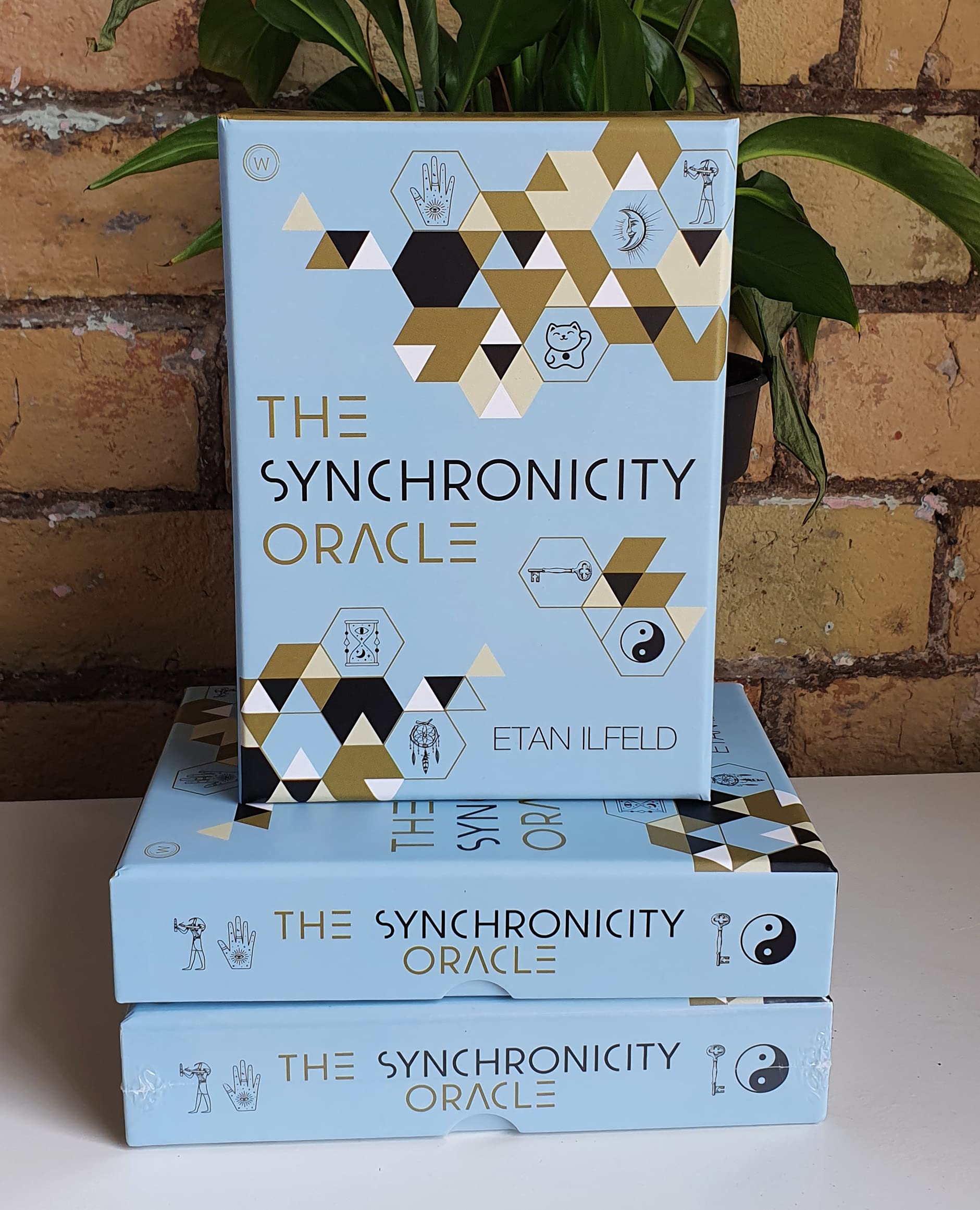 The Synchronicity Oracle | Etan Ilfeld - 1 | YEO