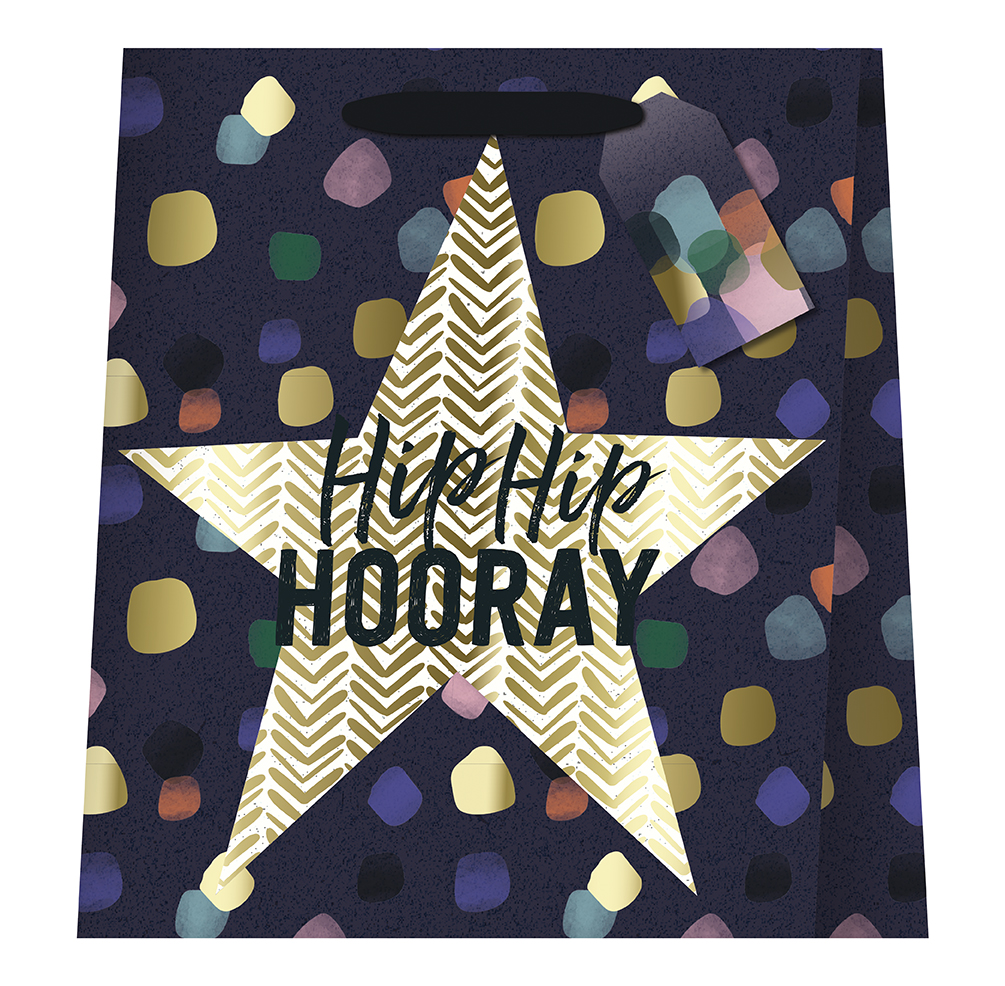 Punga de cadou - Large - Hip Hip Hooray | Great British Card Company