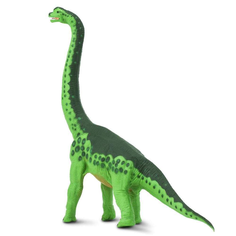 Figurina - Brachiosaurus | Safari