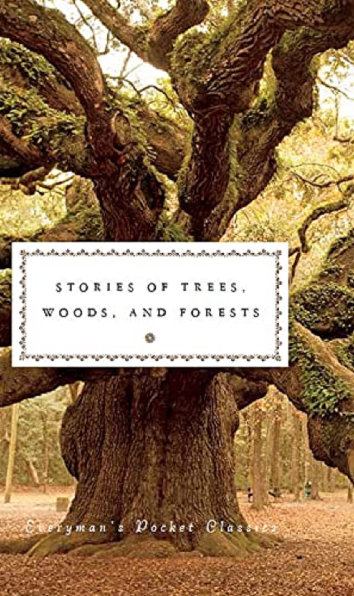 Stories of Trees, Woods, and Forests |