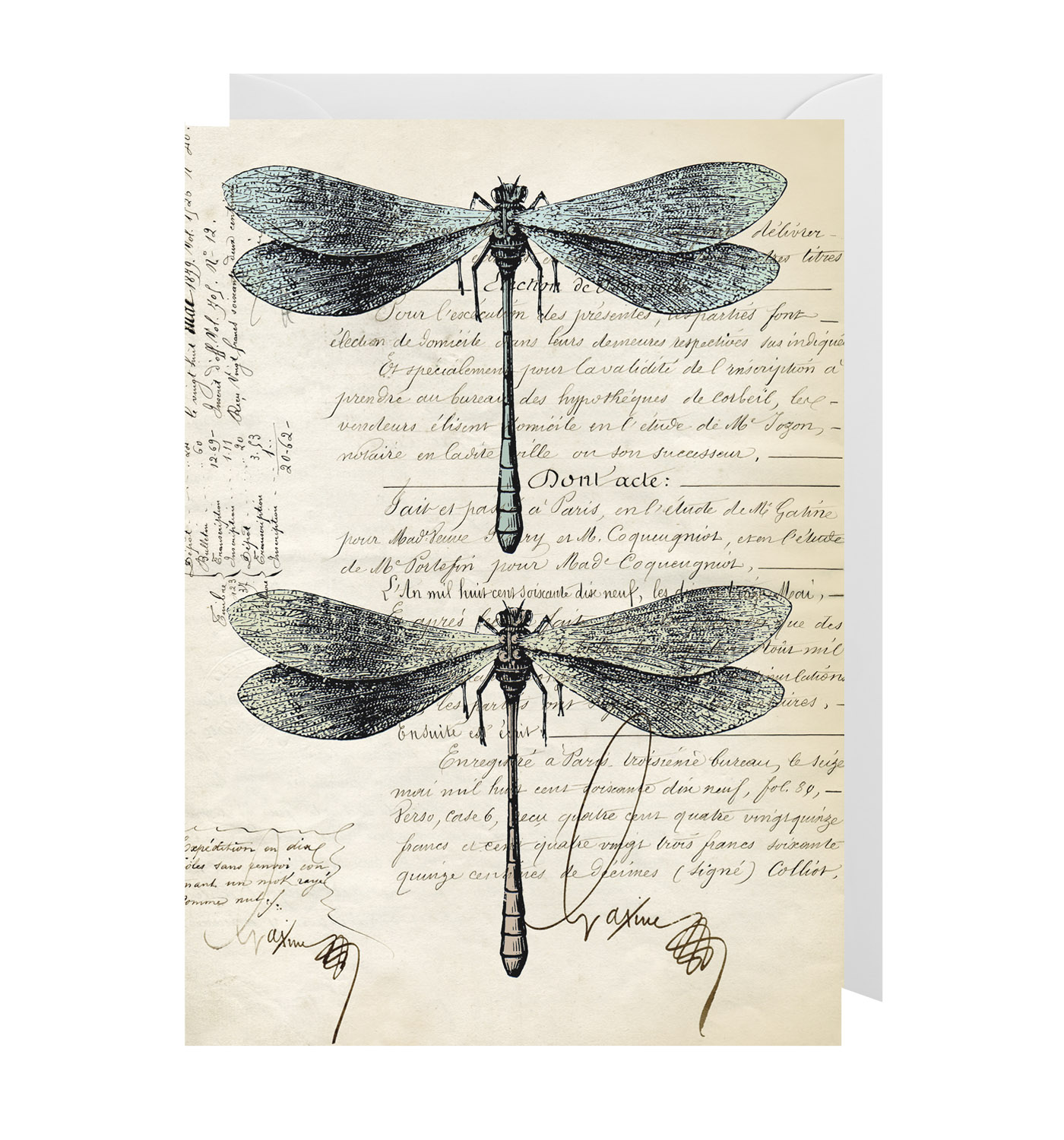 Felicitare - Dragonflies | Lagom Design