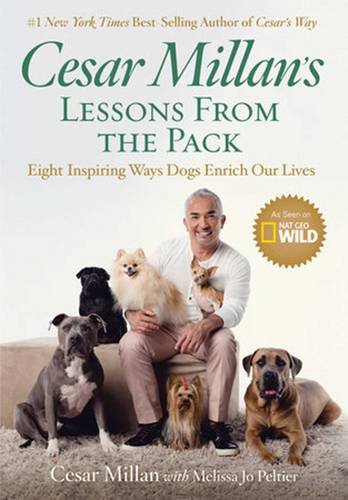 Cesar Millan\'s Lessons from the Pack | Cesar Millan