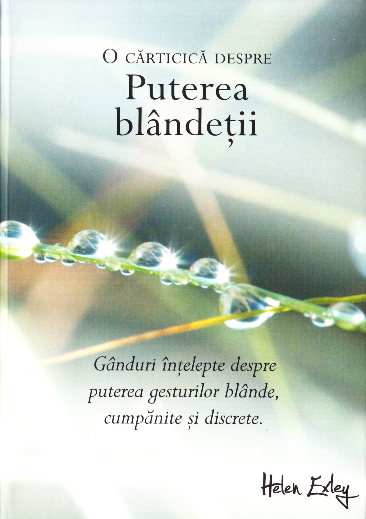 Puterea blandetii |