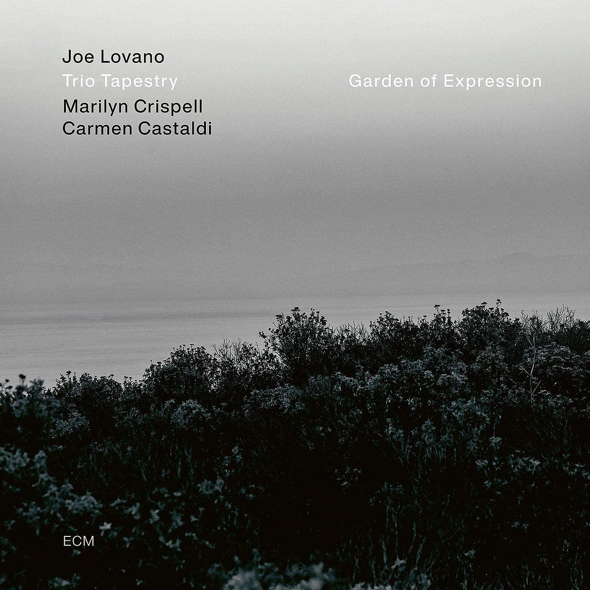 Trio Tapestry: Garden of Expression - Vinyl | Joe Lovano, Marilyn Crispell, Carmen Castaldi