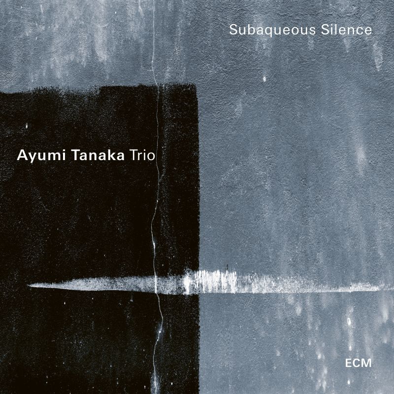 Subaqueous Silence | Ayumi Tanaka, Christian Meaas Svendsen, Per Oddvar Johansen Ayumi poza noua