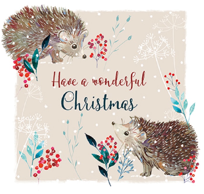 Felicitare - Have a Wonderful Christmas | Ling Design