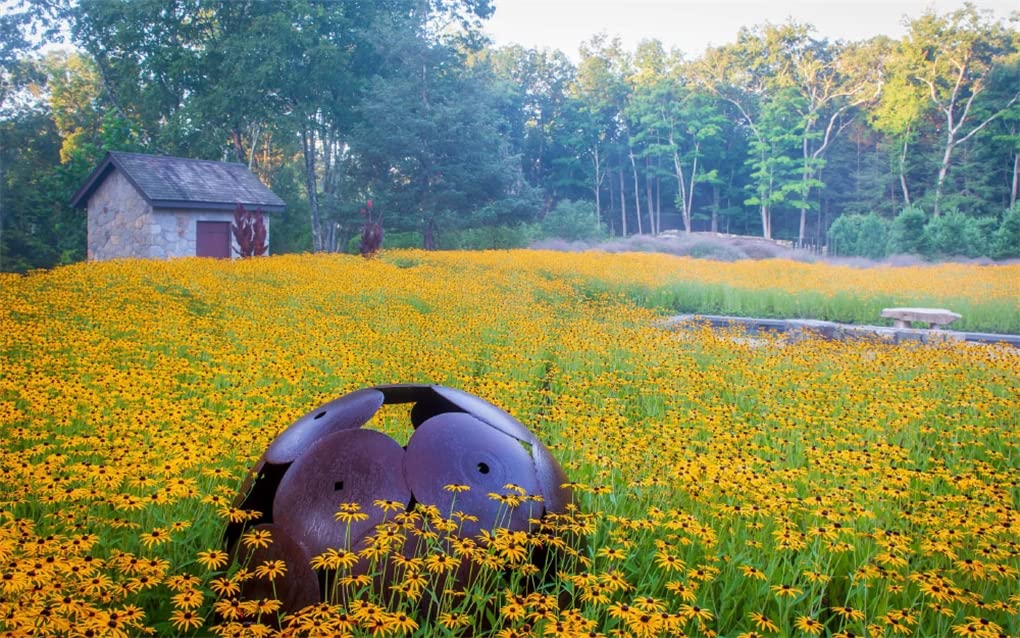 The Healthy Garden | Kathleen Norris Brenzel, Mary-Kate Mackey - 1 | YEO