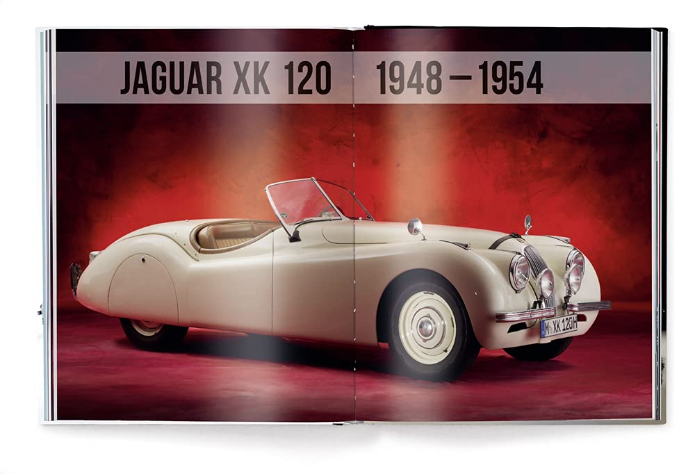 The Jaguar Book | Rene Staud - 4 | YEO