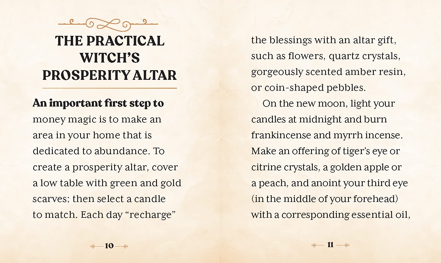 The Witches\' Wealth Spell Book | Cerridwen Greenleaf - 1 | YEO