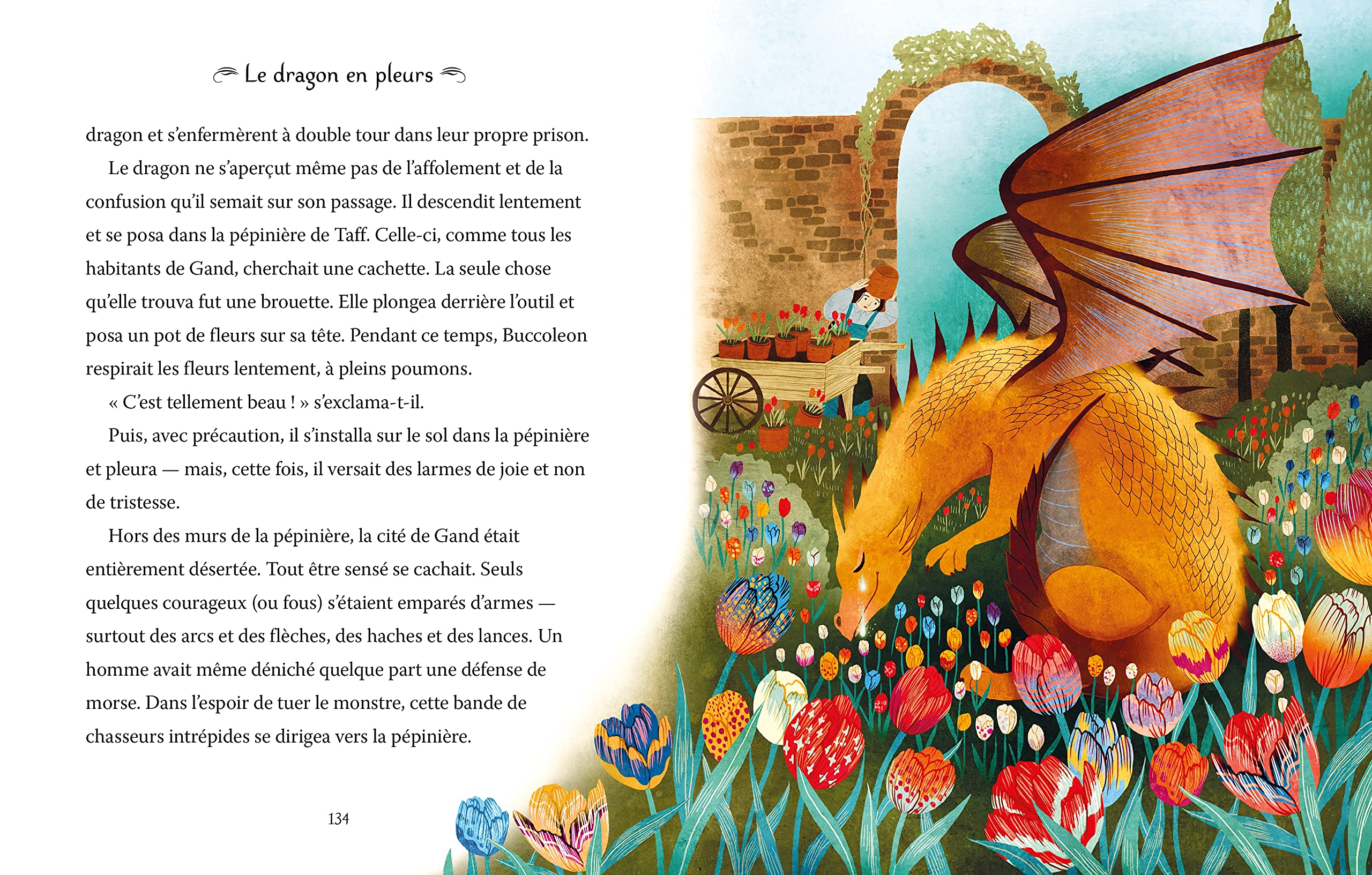 Histoires de dragons illustrees | Andy Prentice - 4 | YEO