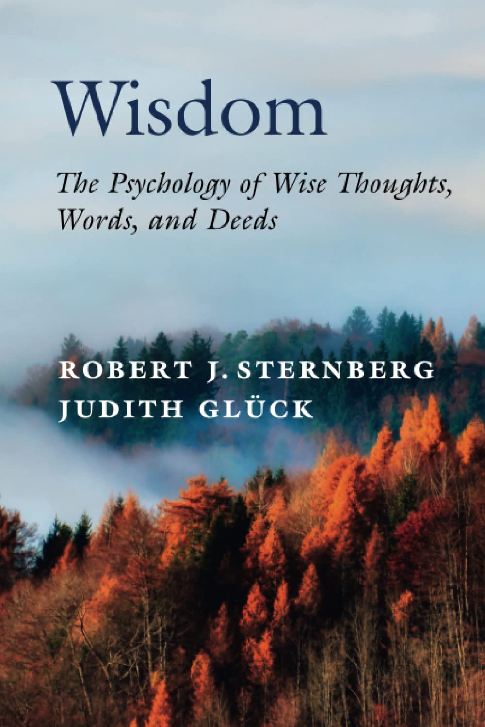 Wisdom | Robert J. Sternberg, Judith Gluck