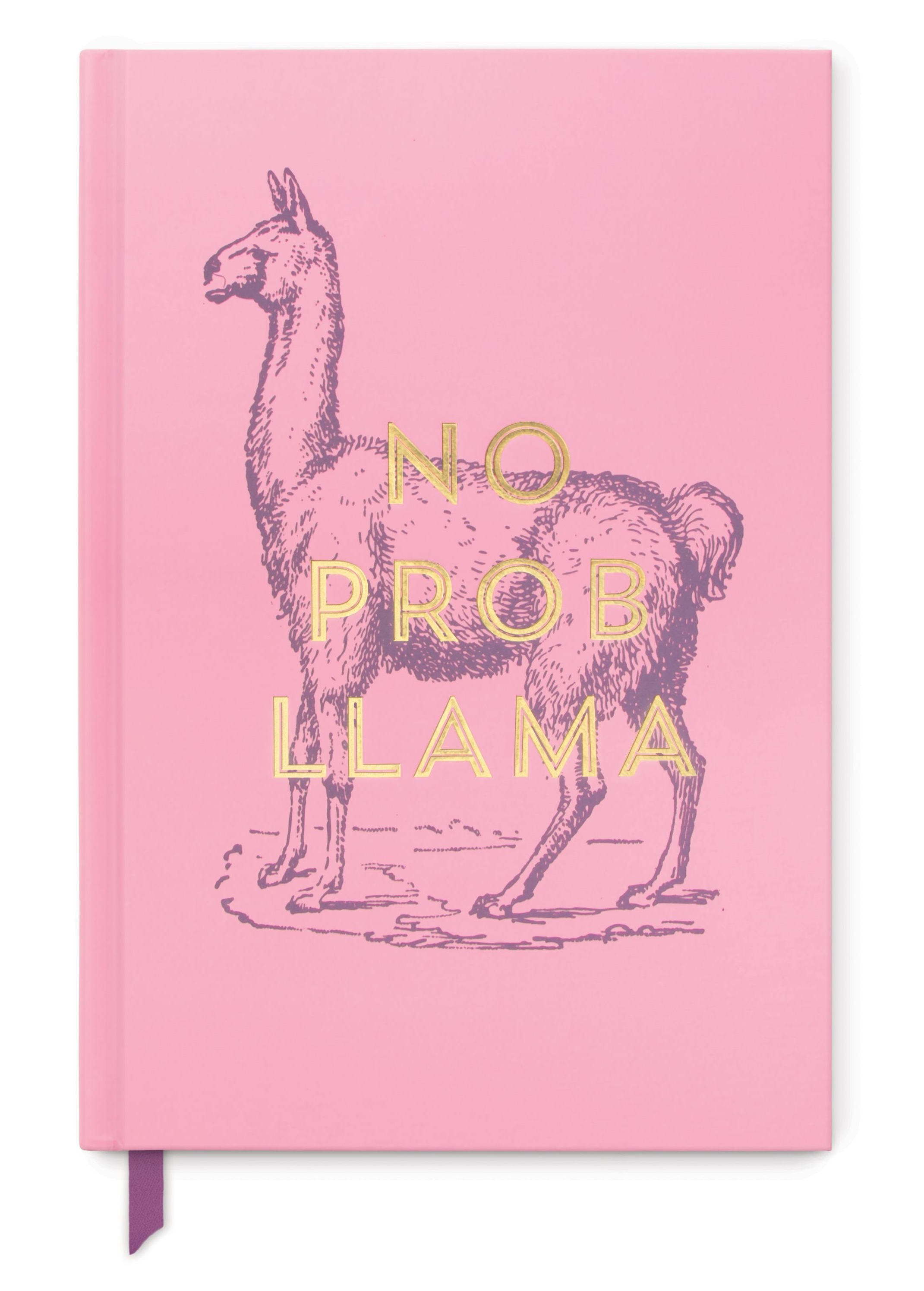 Carnet - No Prob Llama | DesignWorks Ink