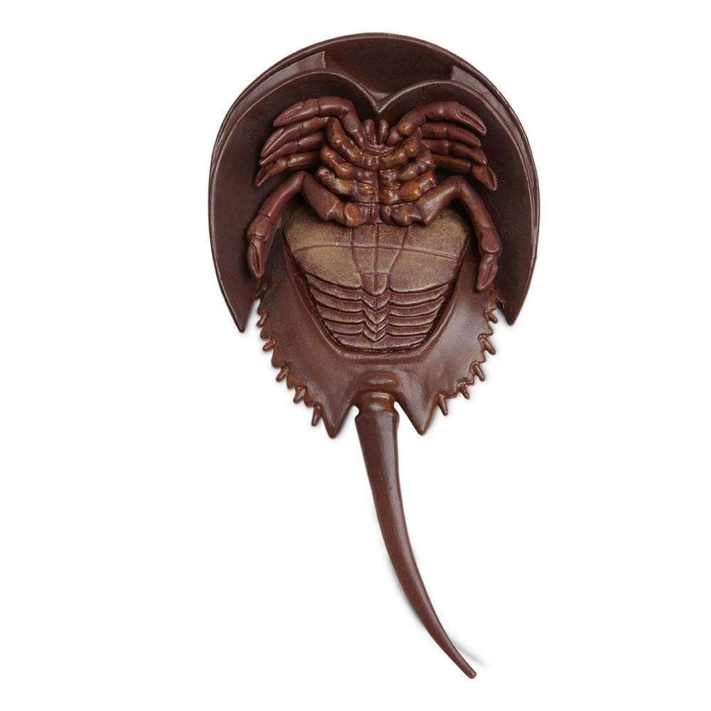 Figurina - Horseshoe Crab | Safari