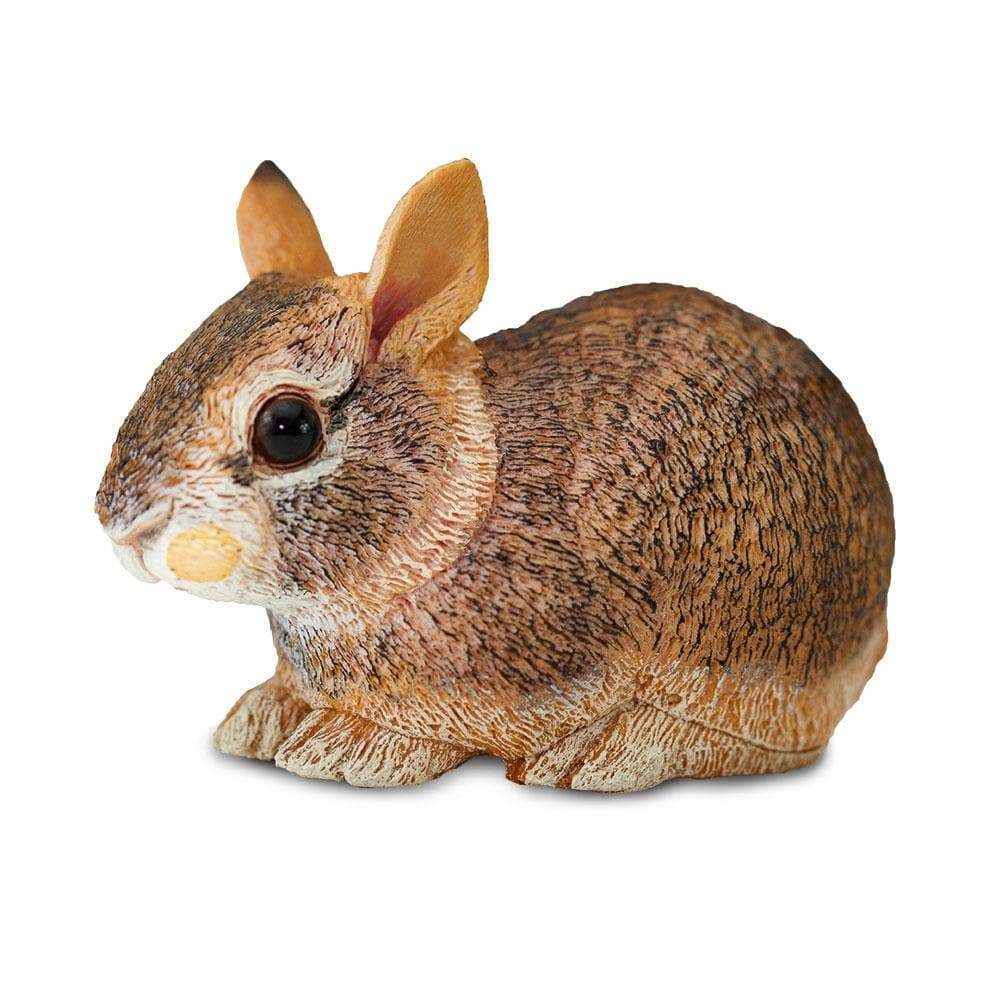 Figurina - Eastern Cottontail Rabbit Baby | Safari - 5 | YEO