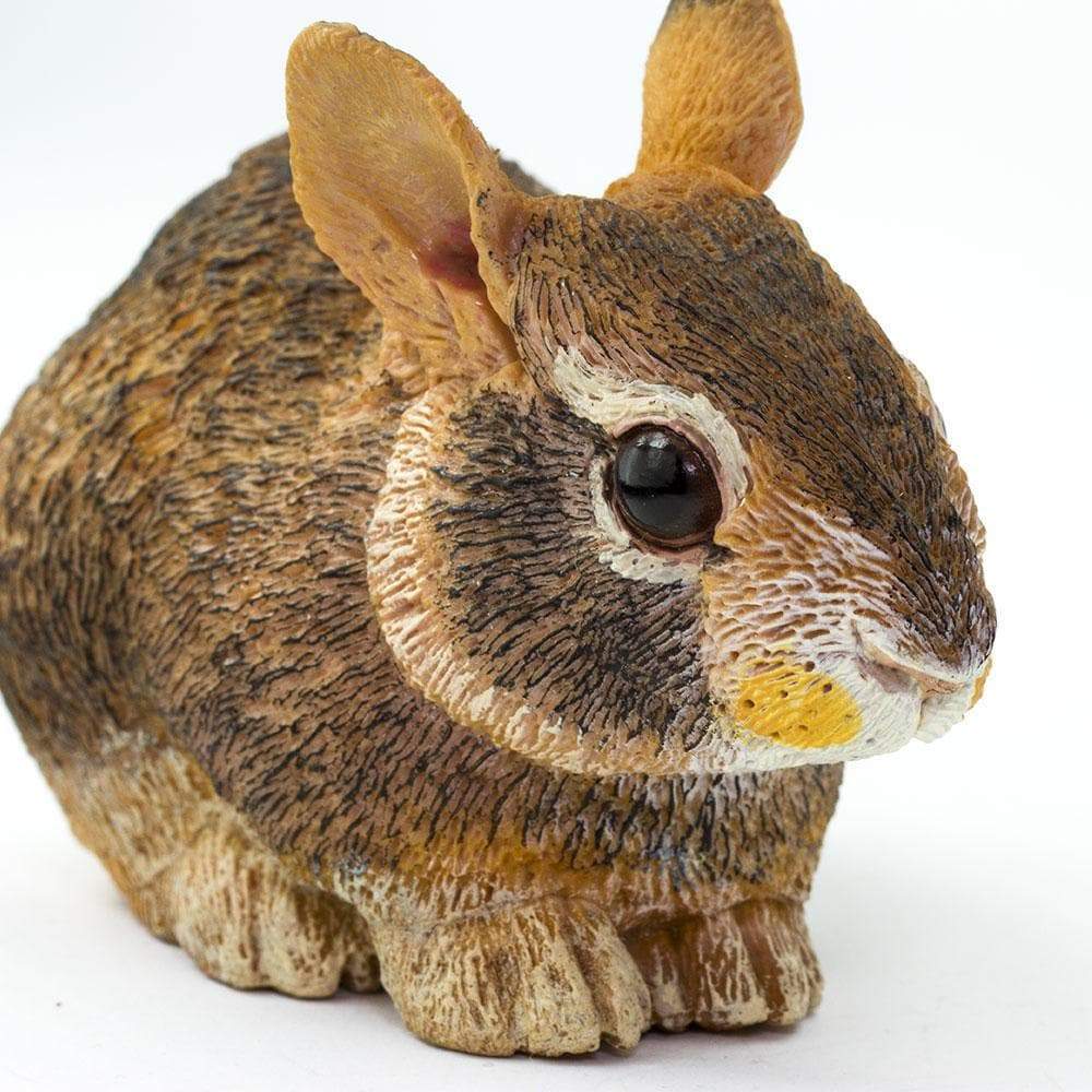 Figurina - Eastern Cottontail Rabbit Baby | Safari