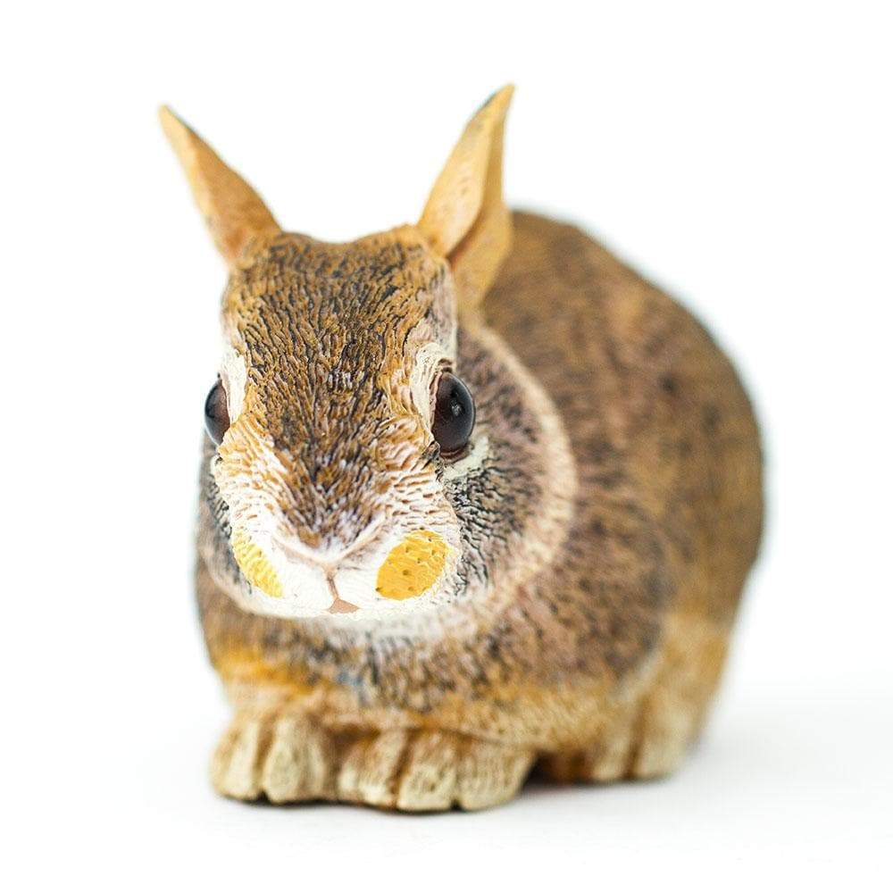 Figurina - Eastern Cottontail Rabbit Baby | Safari - 1 | YEO