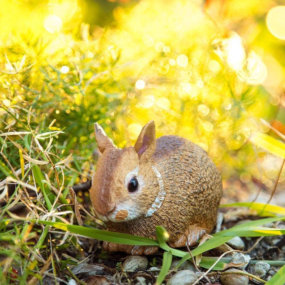 Figurina - Eastern Cottontail Rabbit Baby | Safari - 3 | YEO