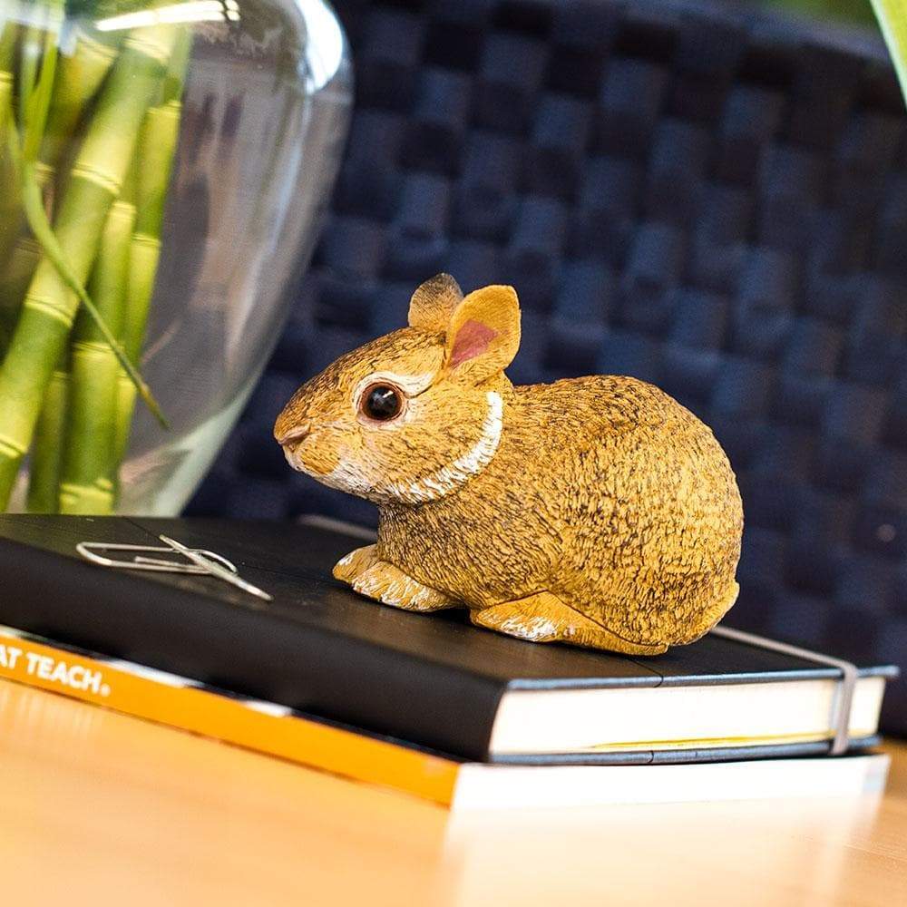 Figurina - Eastern Cottontail Rabbit Baby | Safari - 4 | YEO