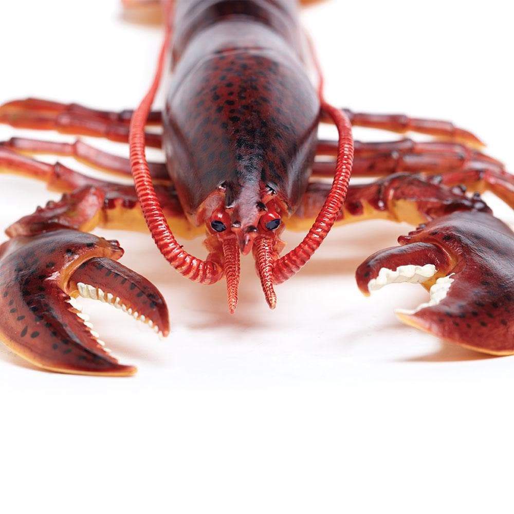 Figurina - Maine Lobster | Safari - 2 | YEO