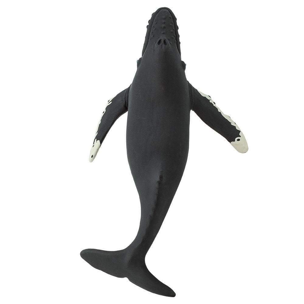 Poze Figurina - Humpback Whale | Safari