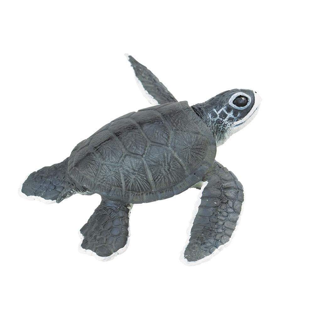 Figurina - Sea Turtle Baby | Safari