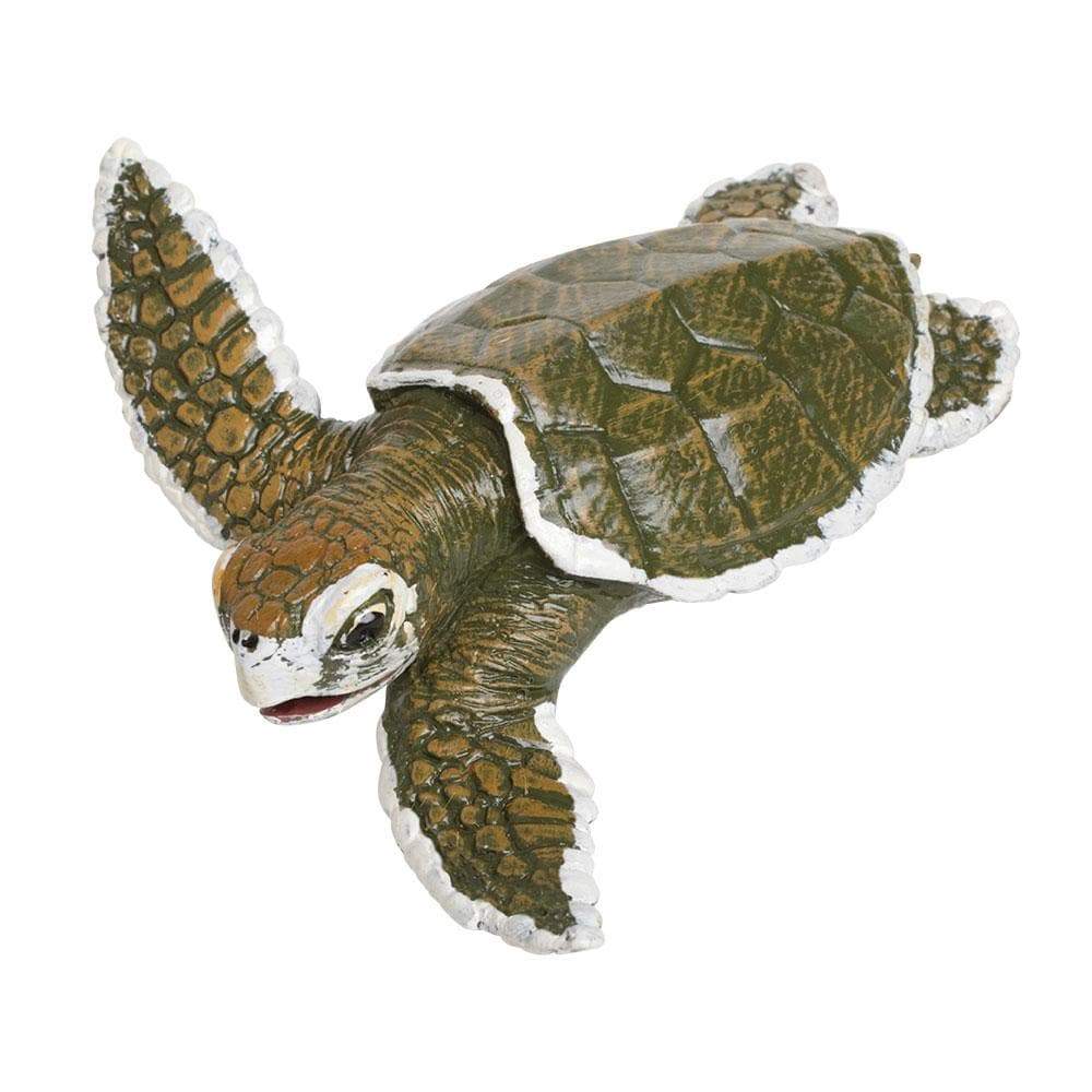 Figurina - Kemp\'s Ridley Sea Turtle Baby | Safari - 4 | YEO