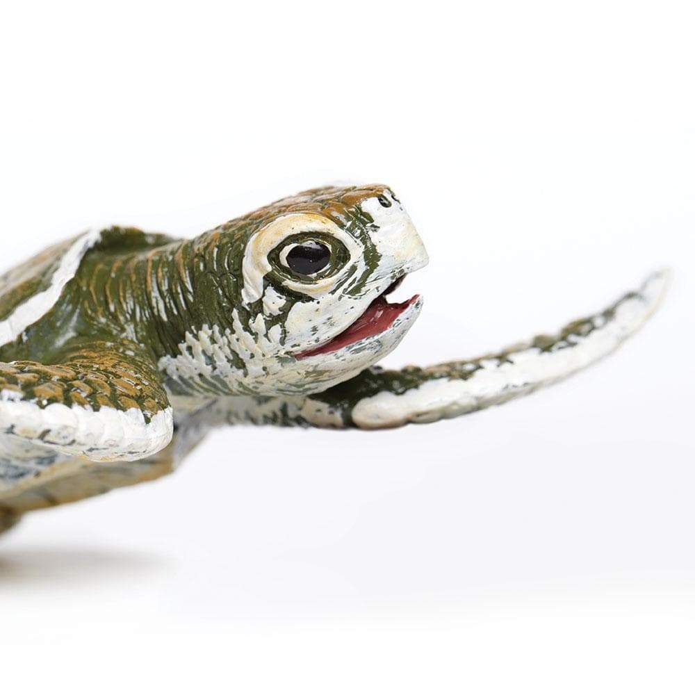 Figurina - Kemp\'s Ridley Sea Turtle Baby | Safari