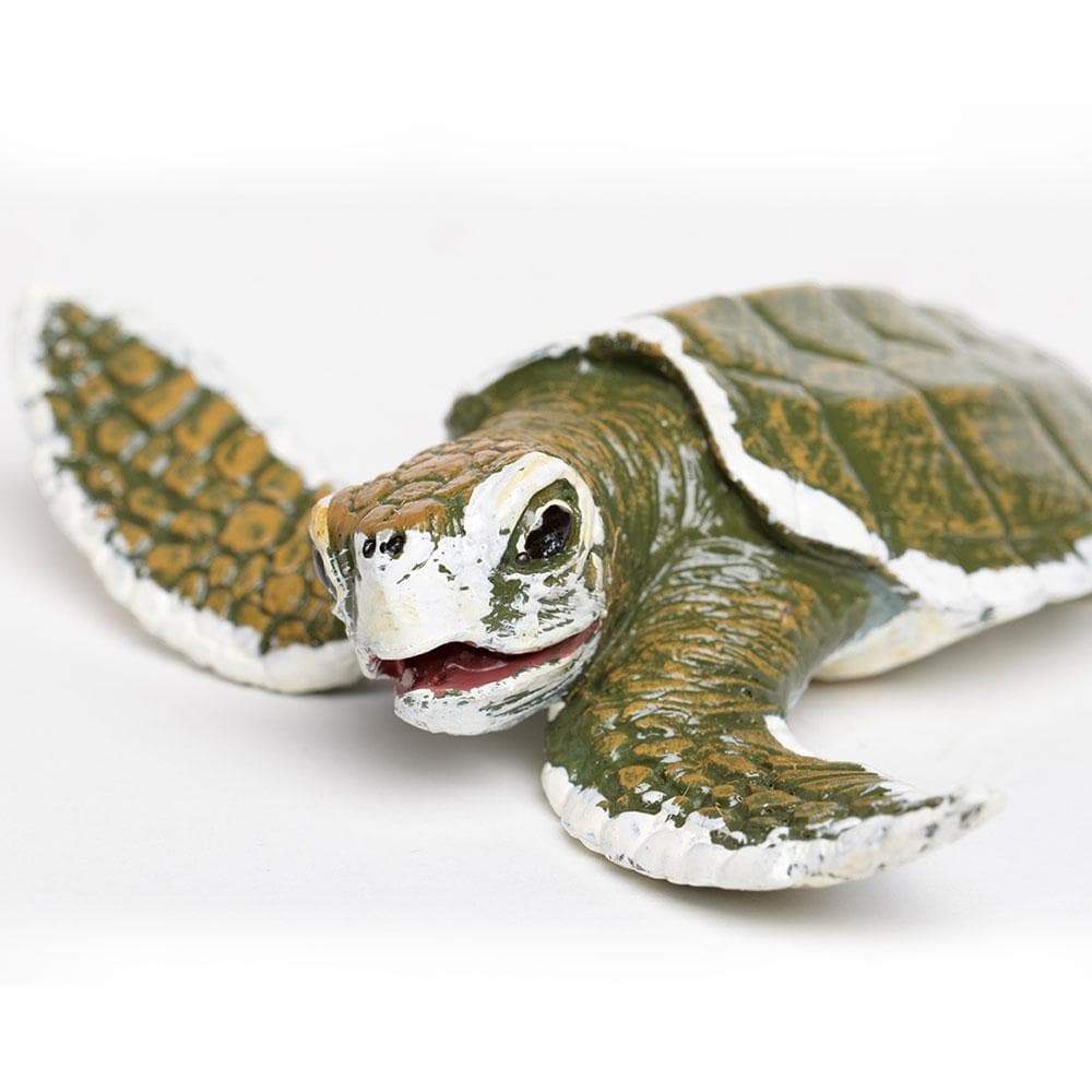 Figurina - Kemp\'s Ridley Sea Turtle Baby | Safari - 1 | YEO