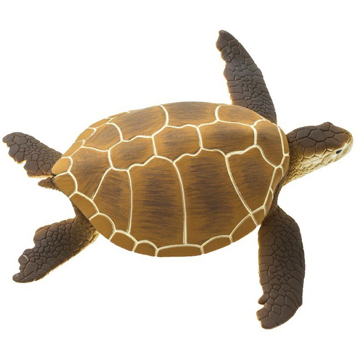 Figurina - Green Sea Turtle | Safari - 1 | YEO