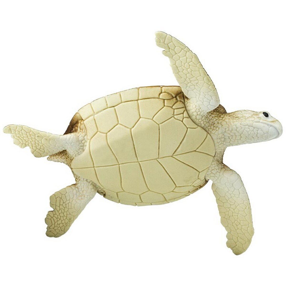 Figurina - Green Sea Turtle | Safari - 2 | YEO