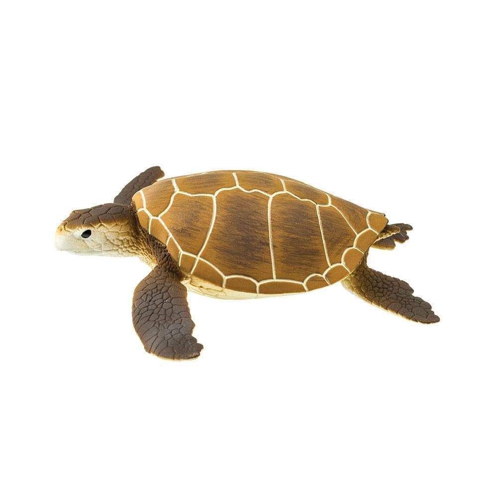 Figurina - Green Sea Turtle | Safari - 4 | YEO