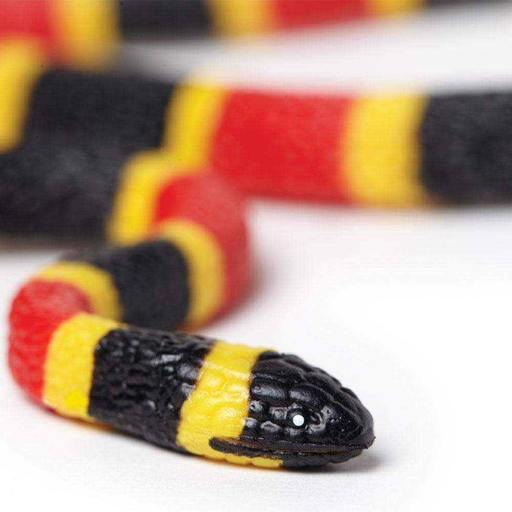 Figurina - Coral Snake Baby | Safari