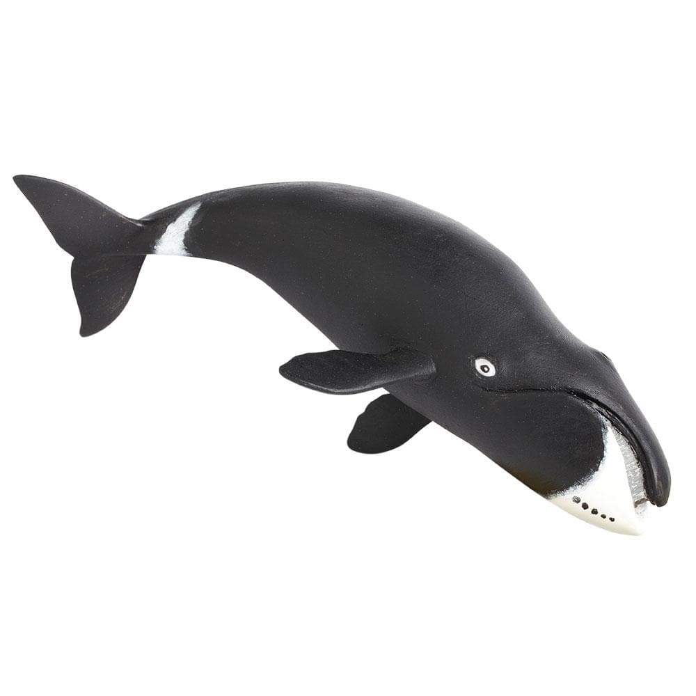 Figurina - Bowhead Whale | Safari - 3 | YEO