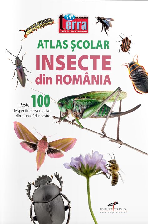 Atlas scolar - insecte din Romania |