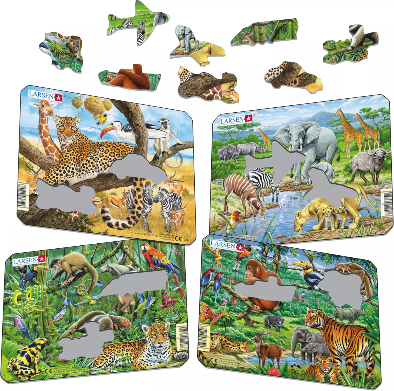 Set 4 puzzle - Animale Exotice, 11 piese | Larsen, Larsen image6