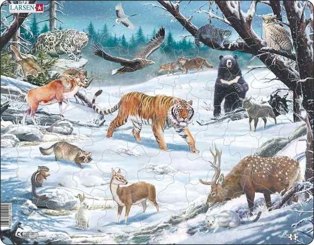 Puzzle 66 piese - Maxi - Winter Wildlife in Siberia and Northeast Asia | Larsen image