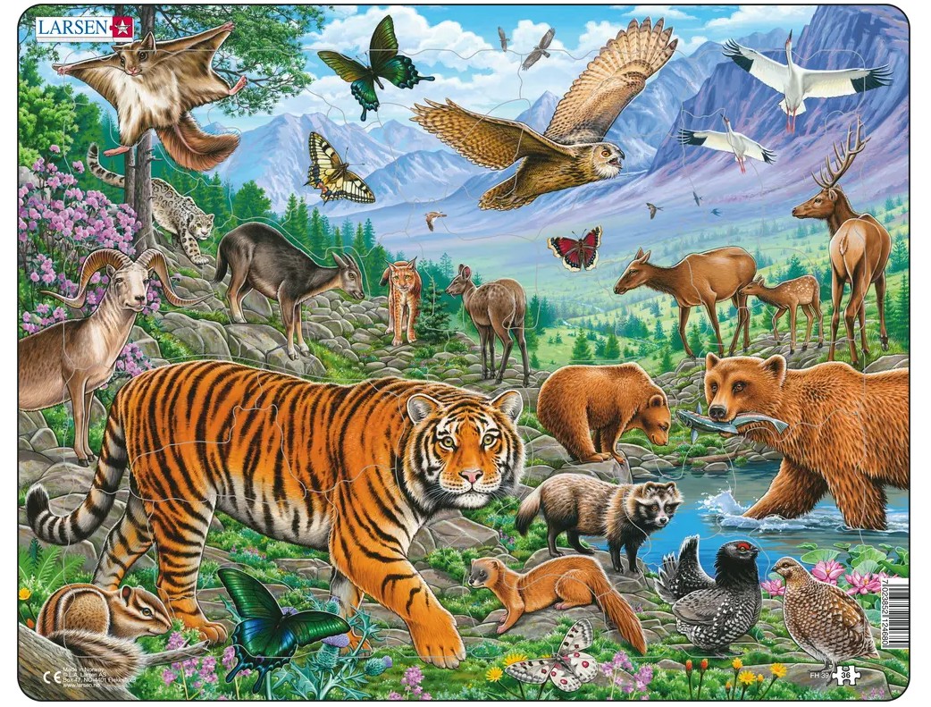 Puzzle 36 piese - Maxi - The Amur Tiger in Siberian Summer | Larsen