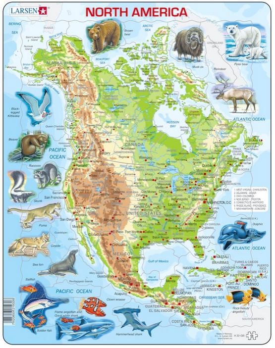 Puzzle 66 piese - Maxi - Harta Fizica si Animalele din America de Nord | Larsen