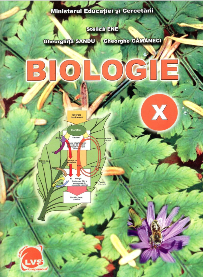 Biologie - Manual clasa a X-a | Stelica Ene, Gheorghita Sandu, Gheorghe Gamaneci