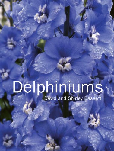 Vezi detalii pentru Delphiniums | David Bassett, Shirley Bassett