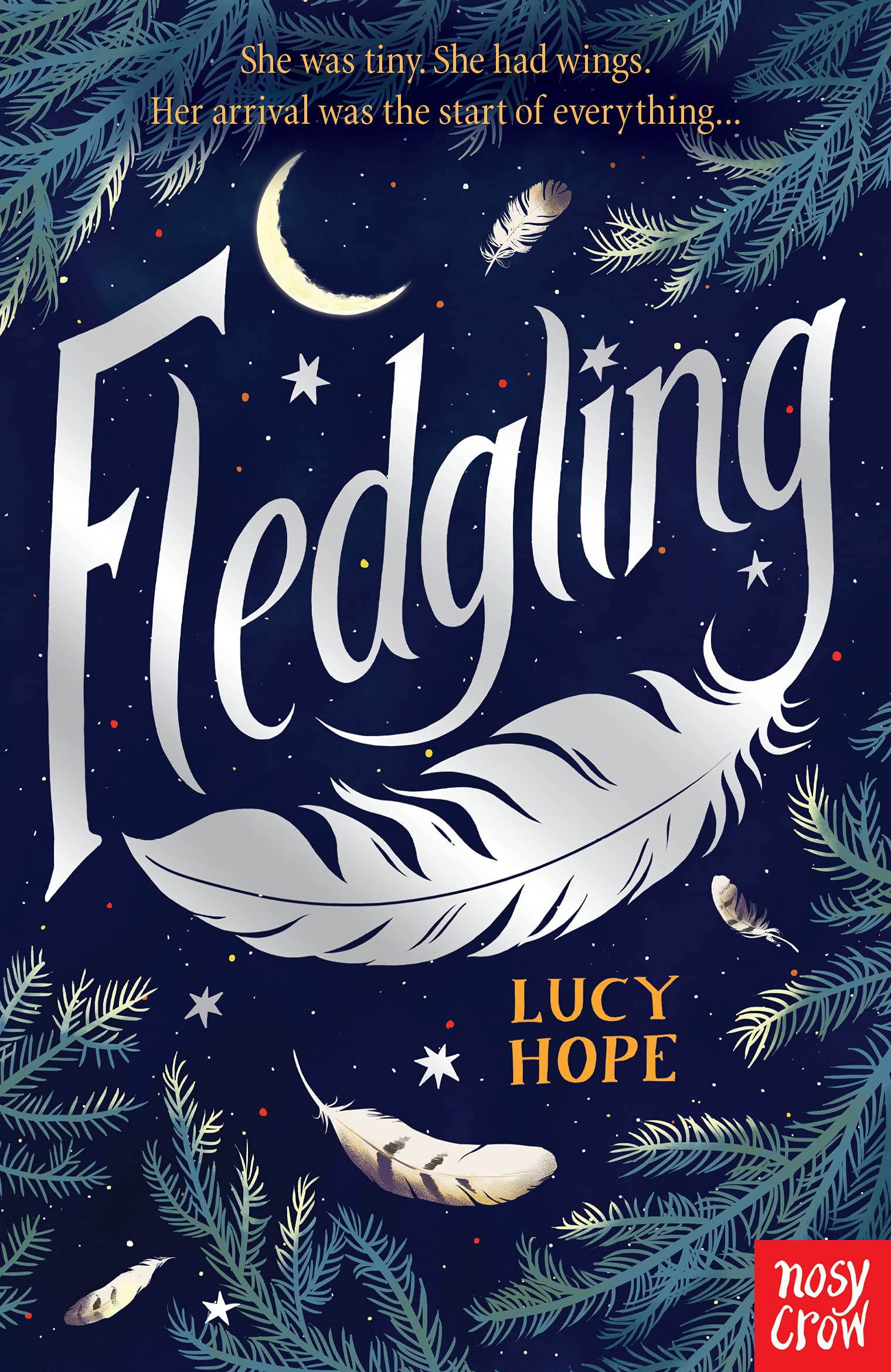 Fledgling | Lucy Hope