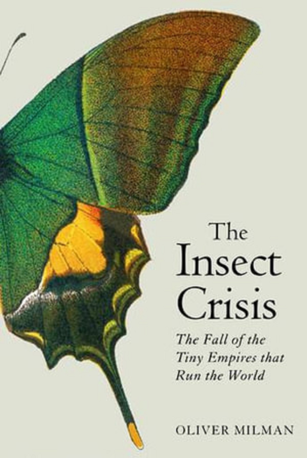 The Insect Crisis | Oliver Milman