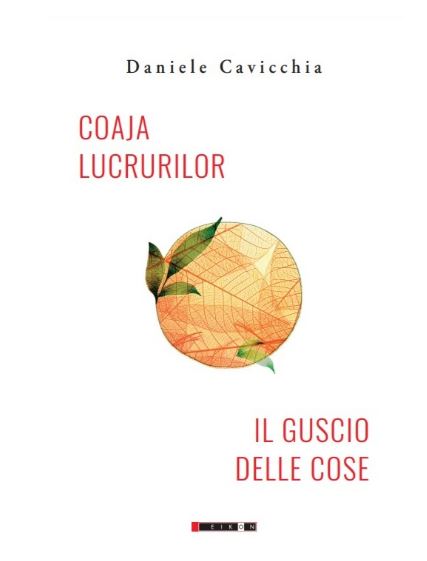 Coaja Lucrurilor / Il Guscio delle cose | Daniele Cavicchia