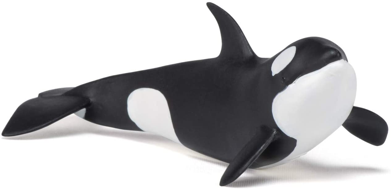 Figurina - Killer Whale Calf | Papo - 5 | YEO