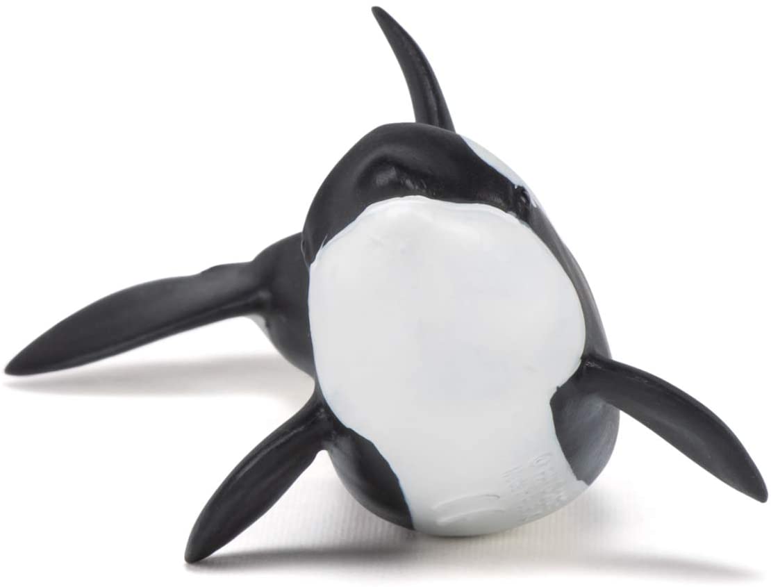 Figurina - Killer Whale Calf | Papo - 1 | YEO