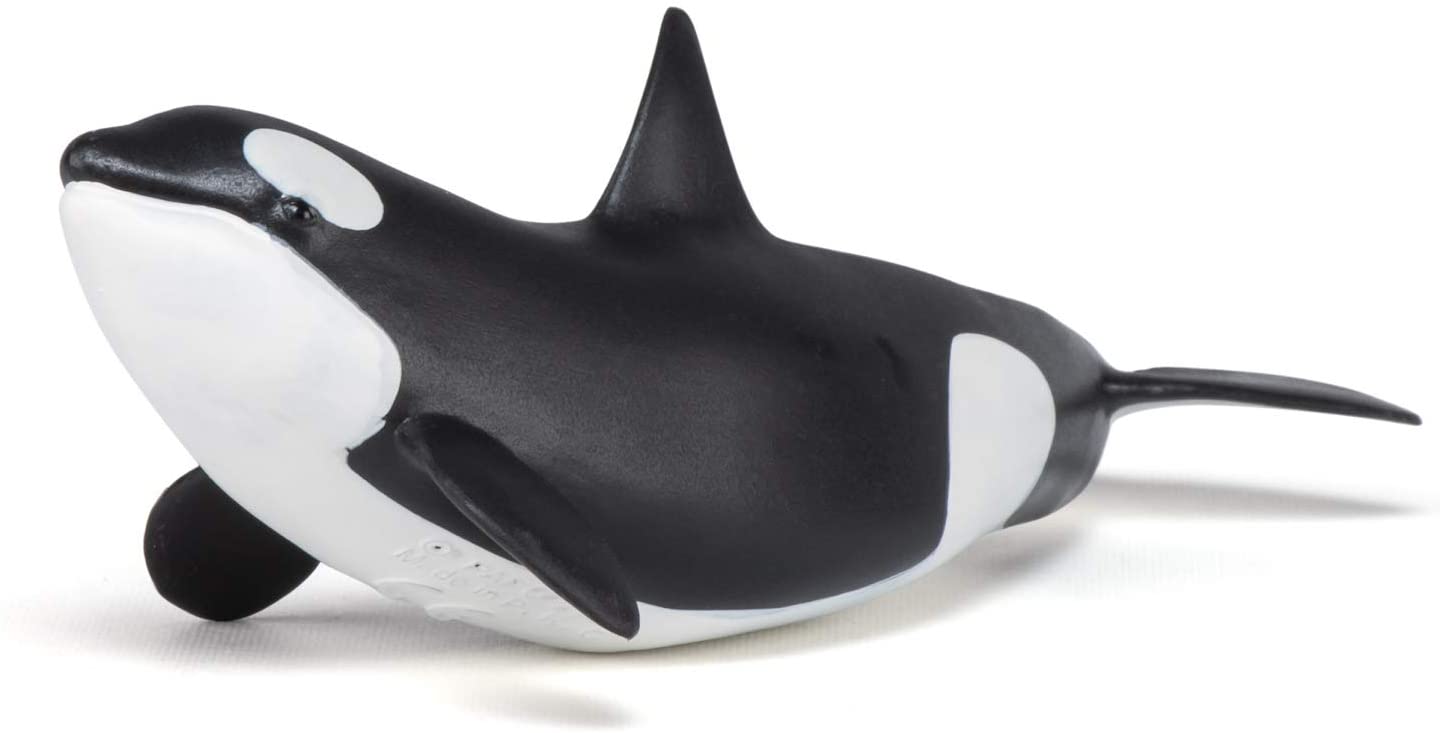 Figurina - Killer Whale Calf | Papo - 2 | YEO