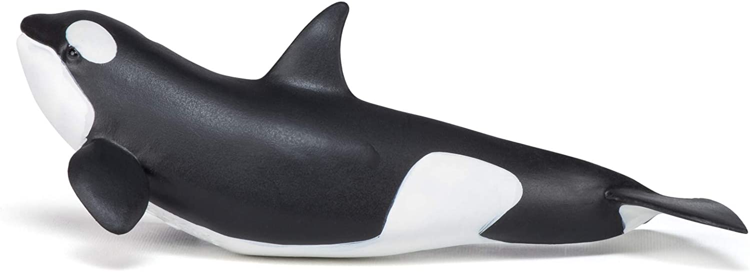 Figurina - Killer Whale Calf | Papo - 3 | YEO