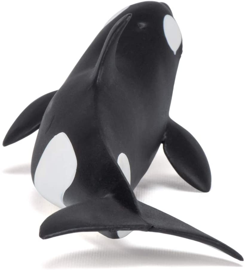 Figurina - Killer Whale Calf | Papo - 4 | YEO