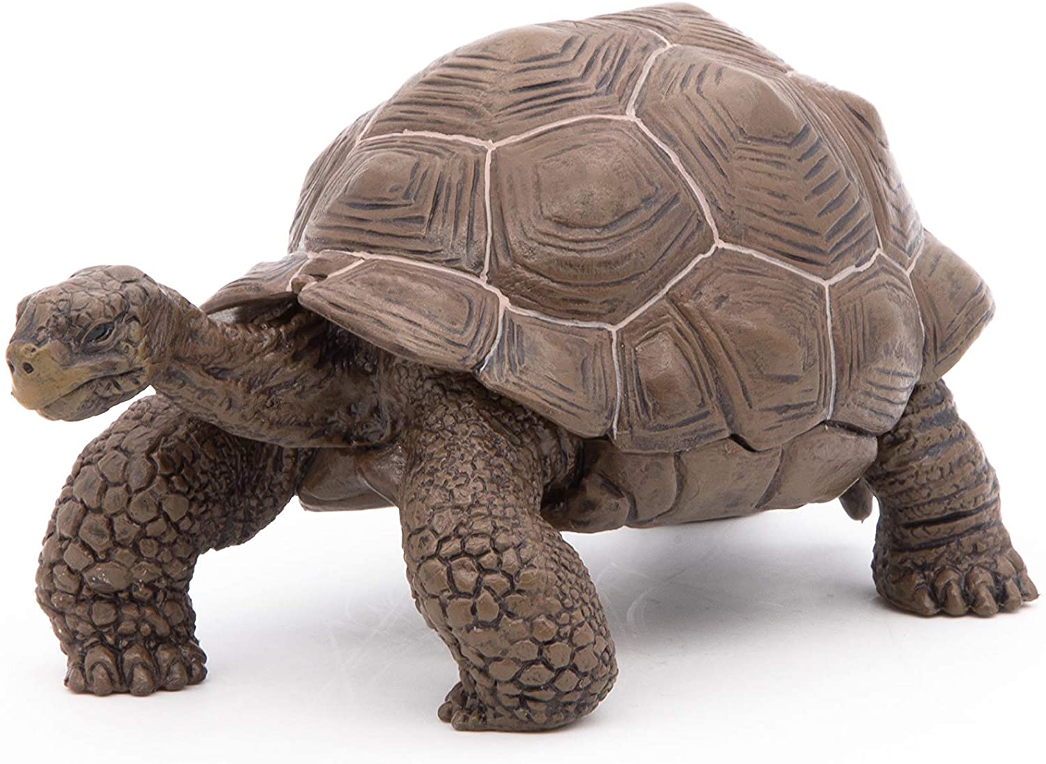 Figurina - Galapagos Tortoise | Papo - 6 | YEO