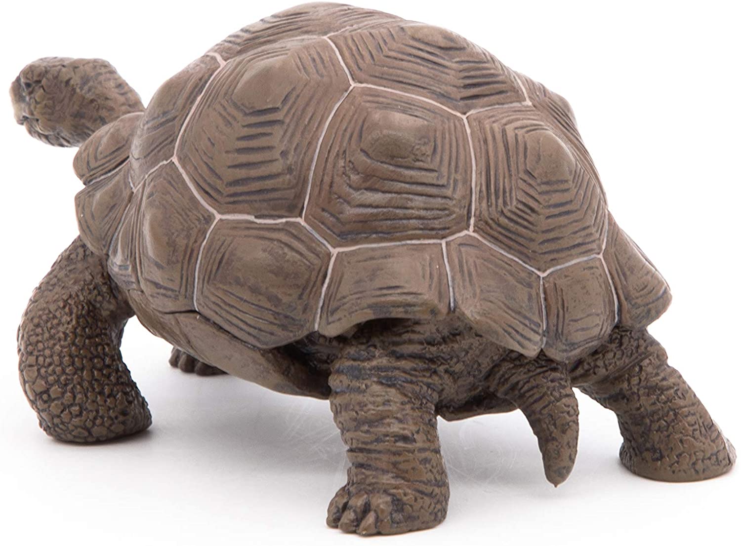 Figurina - Galapagos Tortoise | Papo - 1 | YEO